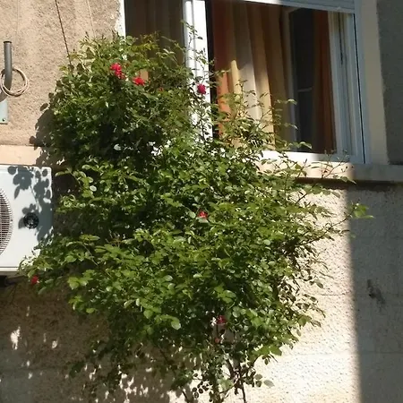 Appartement Boris *